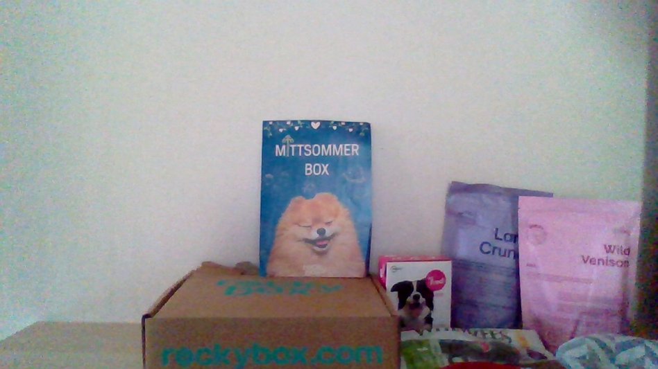 Hundpaket Rocky box
